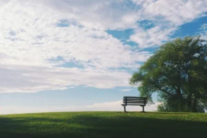 Plano funerário ou seguro de vida? Qual escolher?